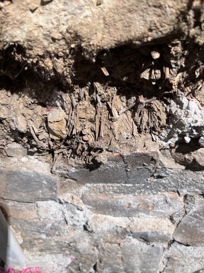 IMG_0150.jpeg IMG_0150.jpeg