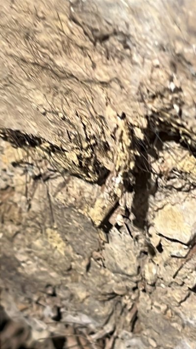 F99FC08B-4435-47D1-BE68-02D626CCA62A.jpeg F99FC08B-4435-47D1-BE68-02D626CCA62A.jpeg