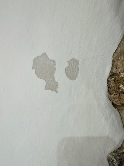 IMG_3967.jpeg IMG_3967.jpeg