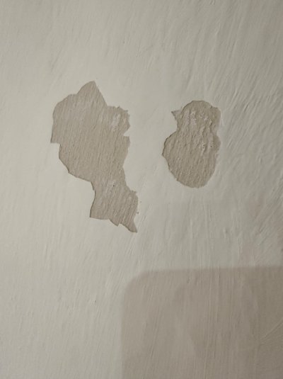 IMG_3968.jpeg IMG_3968.jpeg