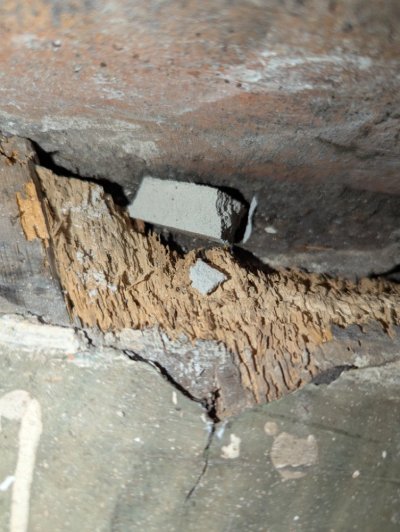 PXL_20251105_195051179.jpg PXL_20251105_195051179.jpg