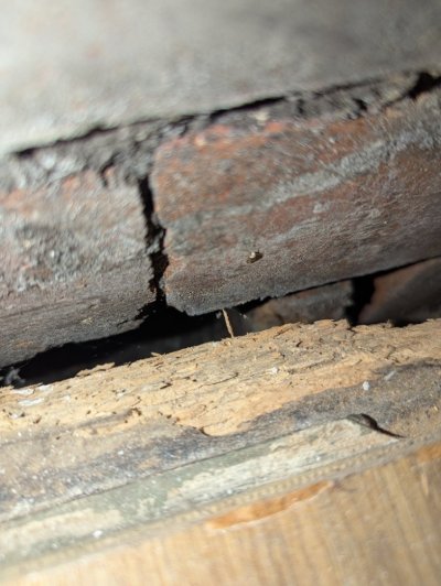 PXL_20251105_195042757.jpg PXL_20251105_195042757.jpg