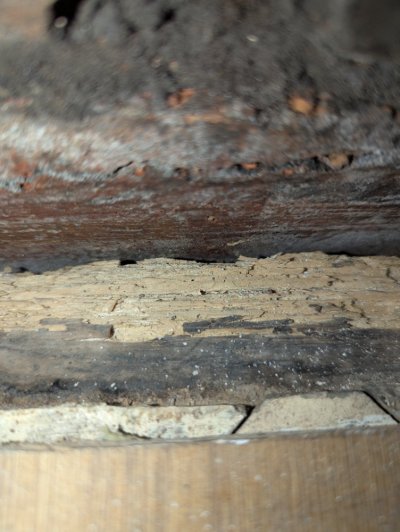 PXL_20251105_195038225.jpg PXL_20251105_195038225.jpg