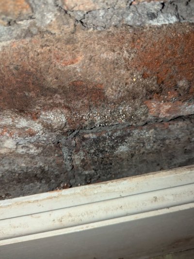 PXL_20251027_171925164.jpg PXL_20251027_171925164.jpg