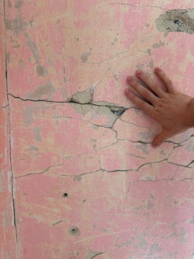 IMG_7773.jpeg IMG_7773.jpeg