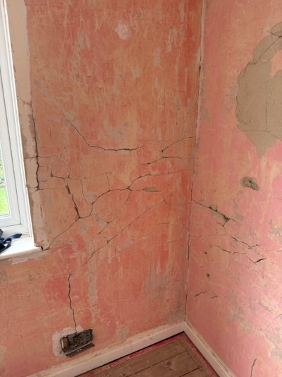 IMG_7769.jpeg IMG_7769.jpeg