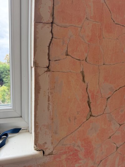 IMG_7770.jpeg IMG_7770.jpeg