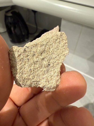 IMG_7861.jpeg IMG_7861.jpeg