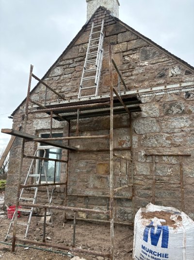 IMG_0963.jpeg IMG_0963.jpeg