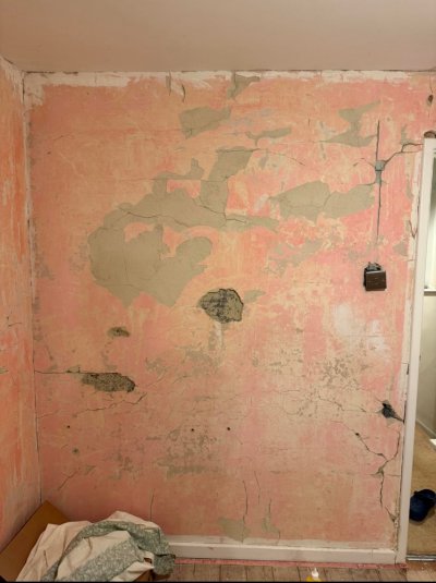 IMG_7864.jpeg IMG_7864.jpeg