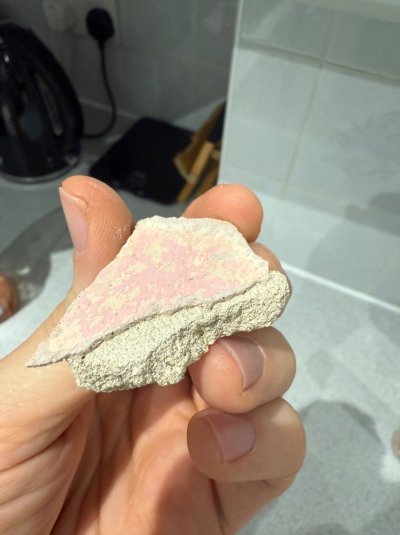 IMG_7860.jpeg IMG_7860.jpeg