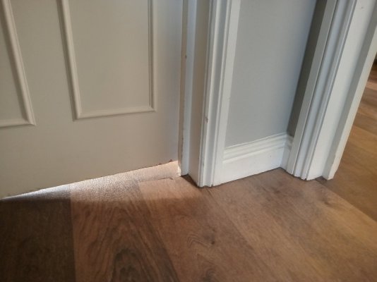 IMG_20251112_081308.jpg IMG_20251112_081308.jpg