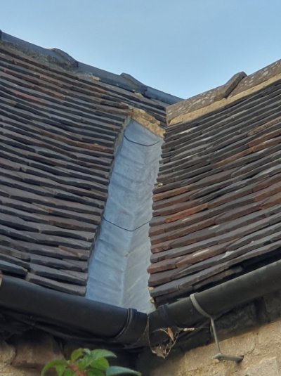 20251012_171921.jpg 20251012_171921.jpg