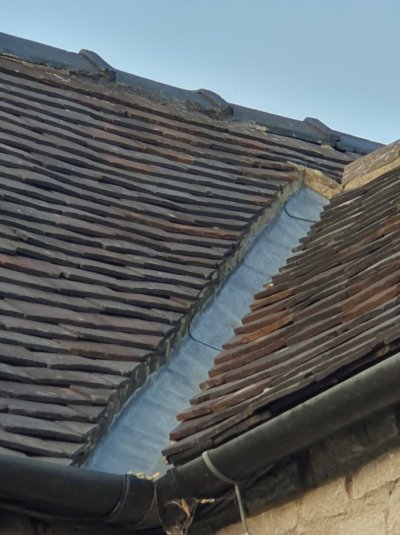 20251012_171934.jpg 20251012_171934.jpg