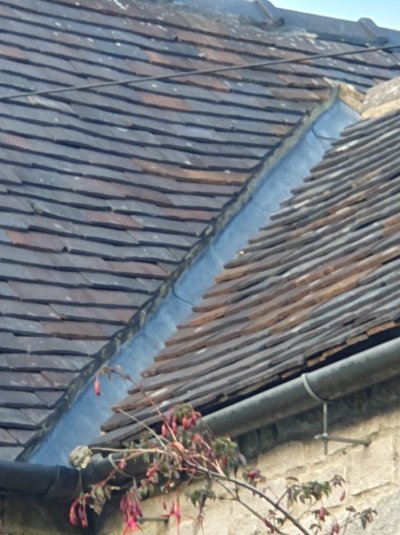 20251012_172006.jpg 20251012_172006.jpg