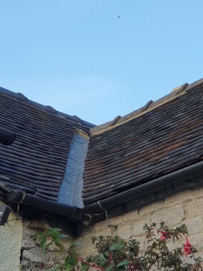 20251012_171917.jpg 20251012_171917.jpg