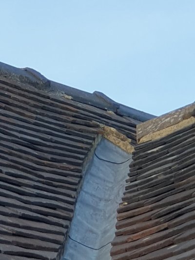 20251012_171945.jpg 20251012_171945.jpg