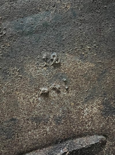 IMG_0374.jpeg IMG_0374.jpeg