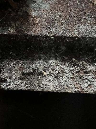 IMG_0381.jpeg IMG_0381.jpeg