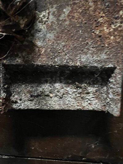 IMG_0383.jpeg IMG_0383.jpeg