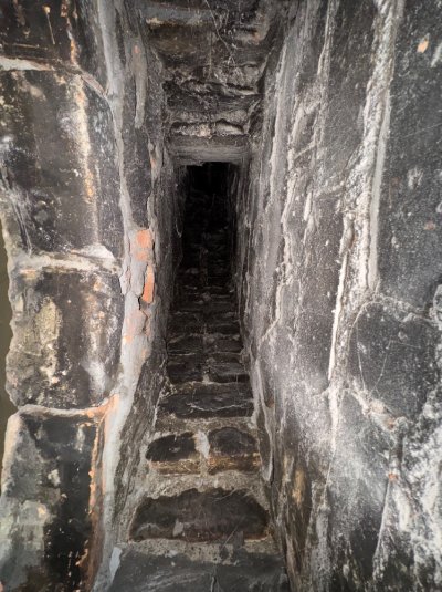 IMG_4430.jpeg IMG_4430.jpeg