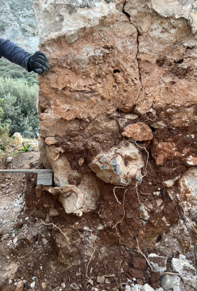 1763122916336.png 1763122916336.png