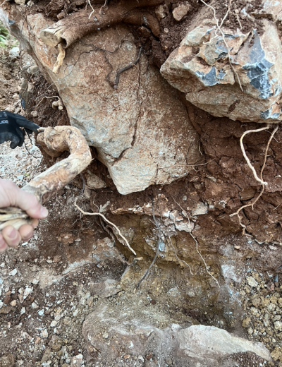 1763123281115.png 1763123281115.png