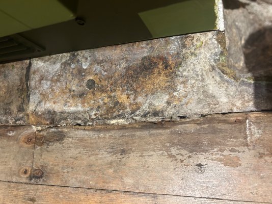 IMG_7996.jpeg IMG_7996.jpeg