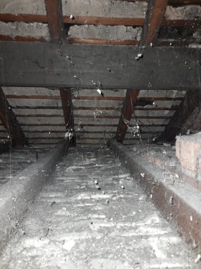 20251114_222703.jpg 20251114_222703.jpg