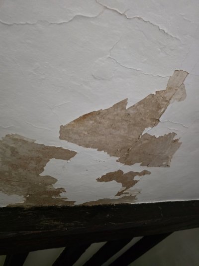 1000027283.jpg 1000027283.jpg