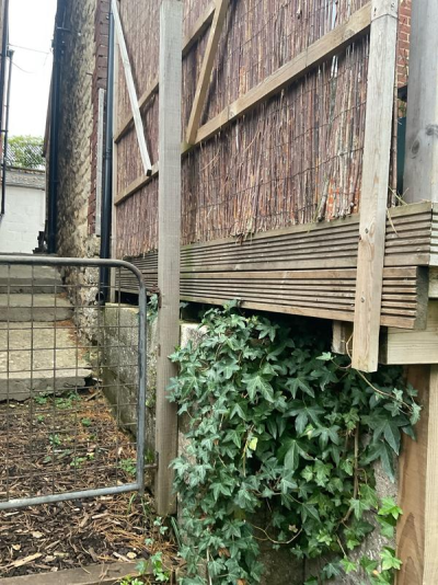 1763298690154.png 1763298690154.png