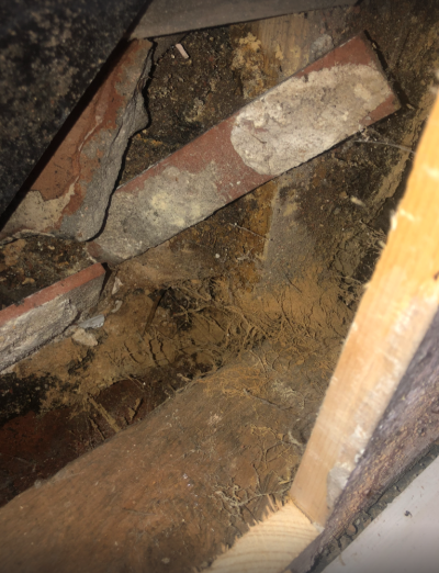 1763333070655.png 1763333070655.png