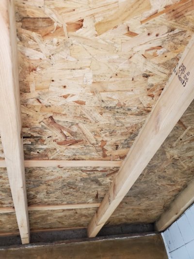 20251118_065410.jpg 20251118_065410.jpg