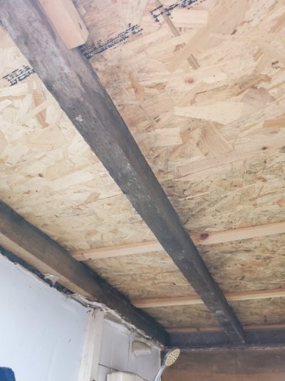 20251118_065413.jpg 20251118_065413.jpg