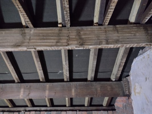 IMG_20240906_093117478_HDR.jpg IMG_20240906_093117478_HDR.jpg