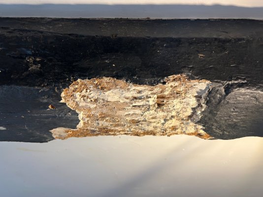 IMG_8021.jpeg IMG_8021.jpeg