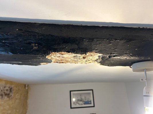 IMG_8022.jpeg IMG_8022.jpeg