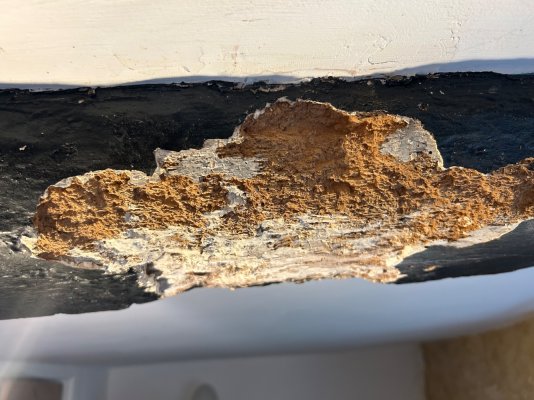 IMG_8023.jpeg IMG_8023.jpeg