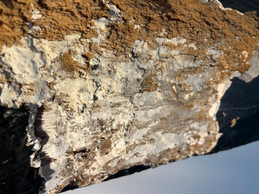 IMG_8024.jpeg IMG_8024.jpeg