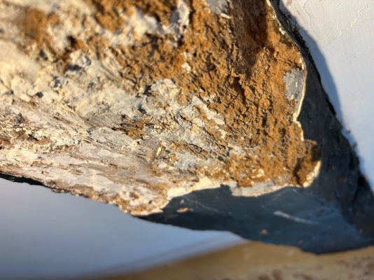 IMG_8025.jpeg IMG_8025.jpeg