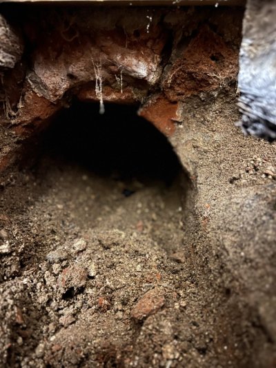 IMG_7942.jpeg IMG_7942.jpeg