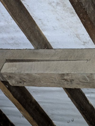 PXL_20251129_112229133.jpg PXL_20251129_112229133.jpg