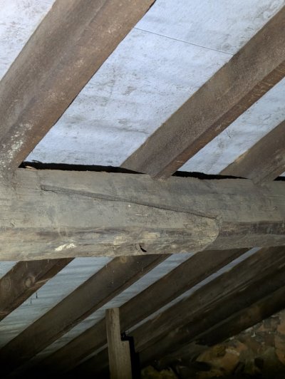 PXL_20251129_112222491.jpg PXL_20251129_112222491.jpg