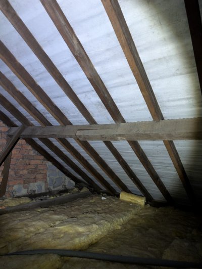 PXL_20251129_112231862.jpg PXL_20251129_112231862.jpg