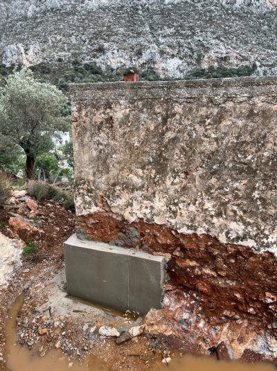 IMG_9581.jpeg IMG_9581.jpeg