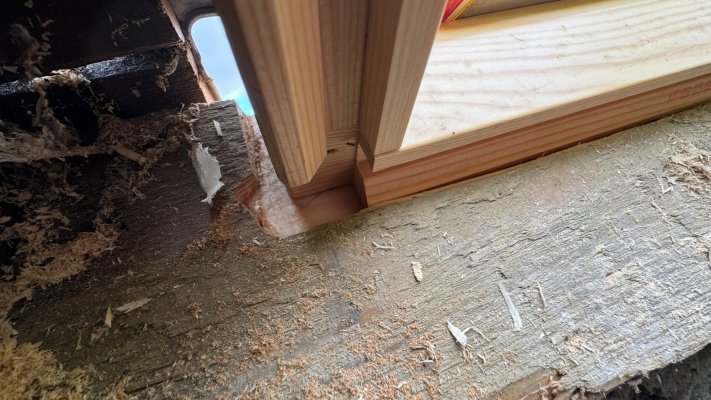 IMG_5260.jpeg IMG_5260.jpeg