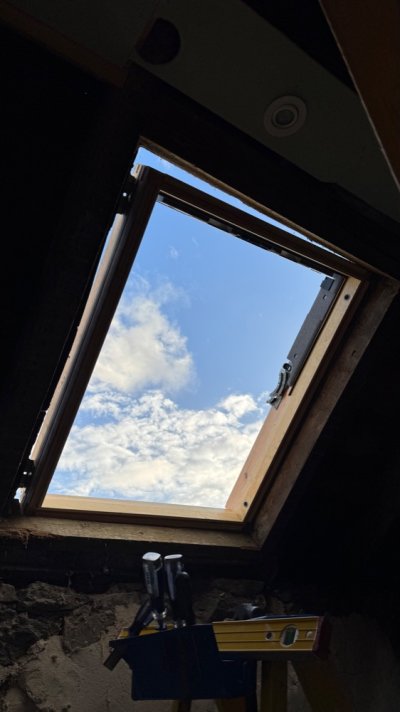 IMG_5263.jpeg IMG_5263.jpeg