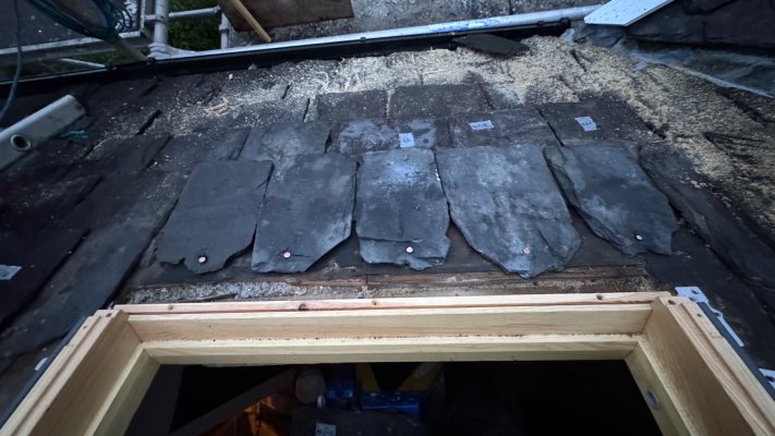 IMG_5269.jpeg IMG_5269.jpeg