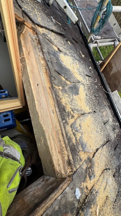 IMG_5262.jpeg IMG_5262.jpeg