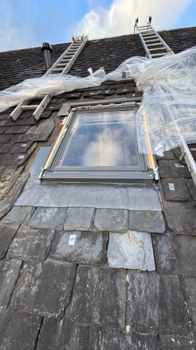 IMG_5280.jpeg IMG_5280.jpeg